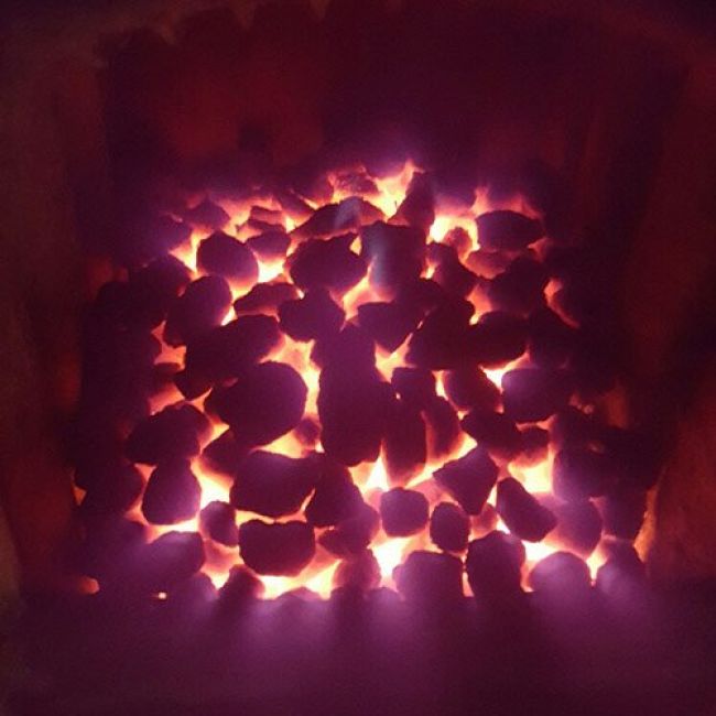 Carbones vegetales en Asturias