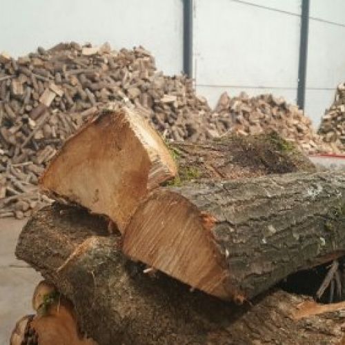 Carbón leña biomasa en Asturias